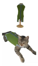 Roupa Pós Cirúrgica para Cães e Gatos